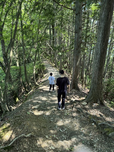 IMG_3637.JPG IMG 3637