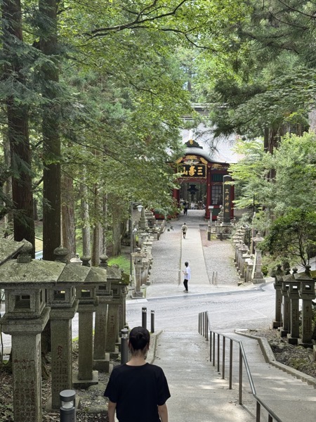 IMG_3727.JPG IMG 3727